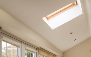 Treadam conservatory roof insulation companies