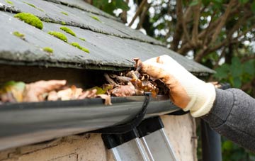 gutter cleaning Treadam, Monmouthshire